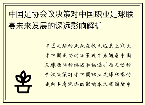 中国足协会议决策对中国职业足球联赛未来发展的深远影响解析