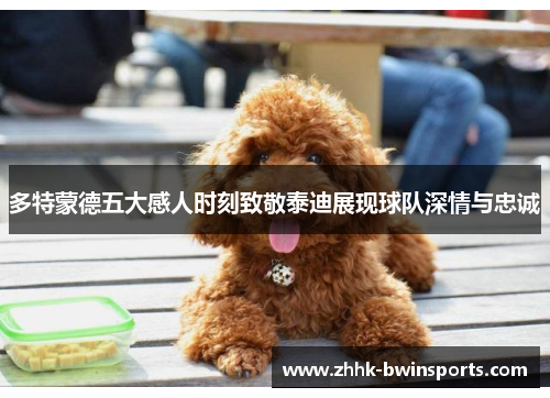 多特蒙德五大感人时刻致敬泰迪展现球队深情与忠诚